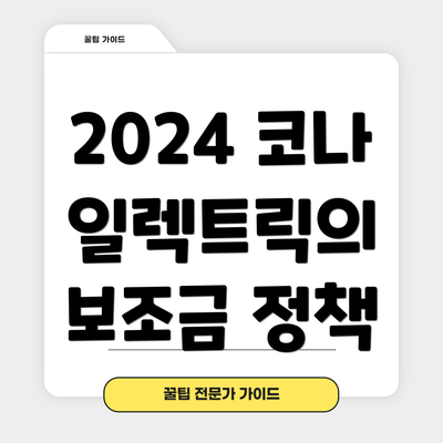 2024 코나 일렉트릭의 보조금 정책