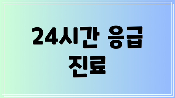 24시간 응급 진료
