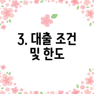 3. 대출 조건 및 한도