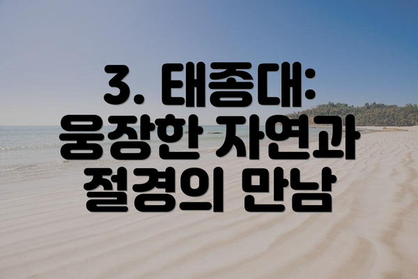 3. 태종대: 웅장한 자연과 절경의 만남