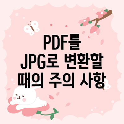 PDF를 JPG로 변환할 때의 주의 사항