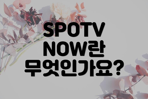 SPOTV NOW란 무엇인가요?