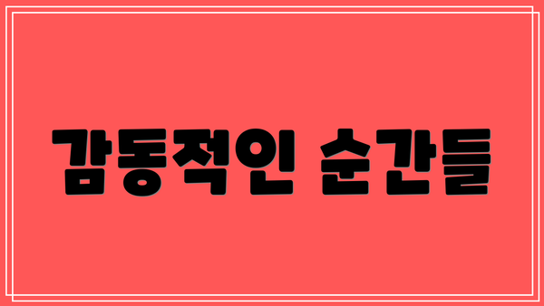 감동적인 순간들