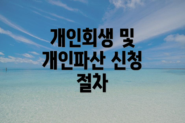 개인회생 및 개인파산 신청 절차