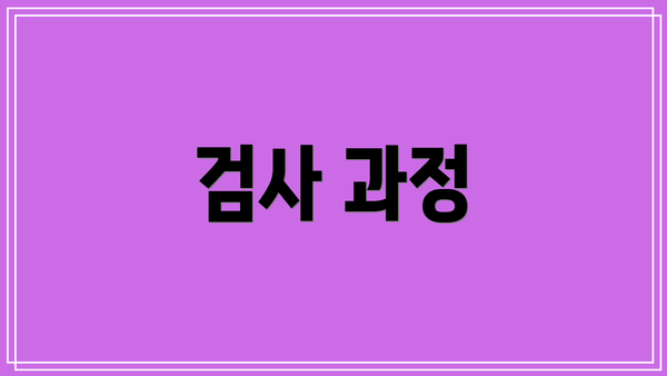 검사 과정