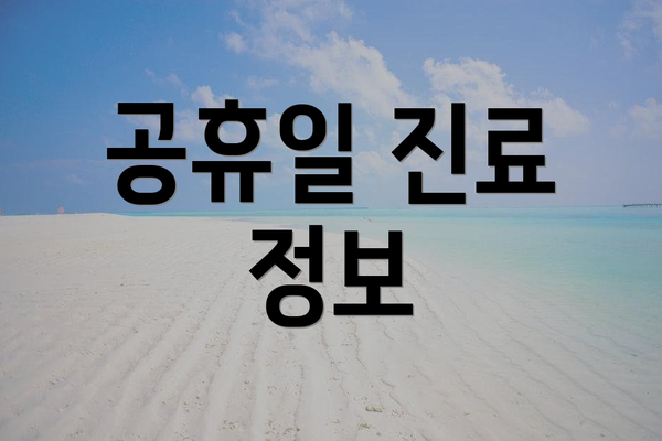 공휴일 진료 정보