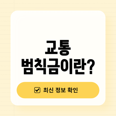 교통 범칙금이란?