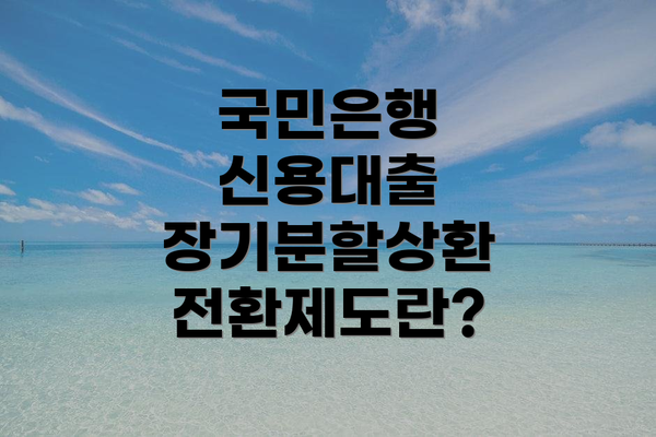 국민은행 신용대출 장기분할상환 전환제도란?