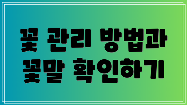 꽃 관리 방법과 꽃말 확인하기