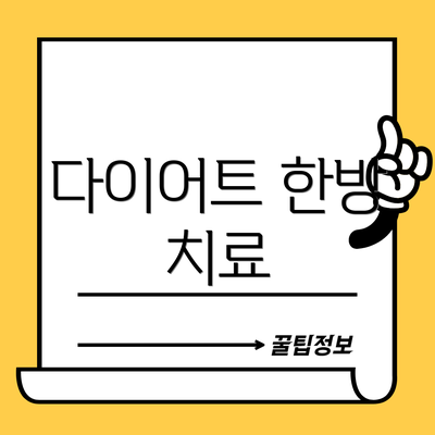 다이어트 한방 치료