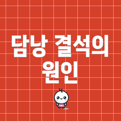 담낭 결석의 원인
