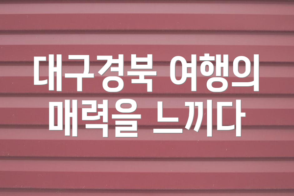대구경북 여행의 매력을 느끼다