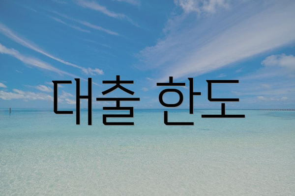 대출 한도