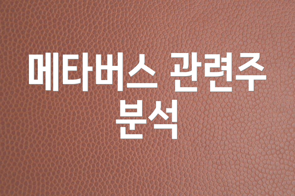 메타버스 관련주 분석
