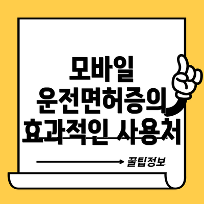 모바일 운전면허증의 효과적인 사용처