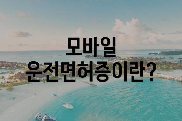 모바일 운전면허증이란?