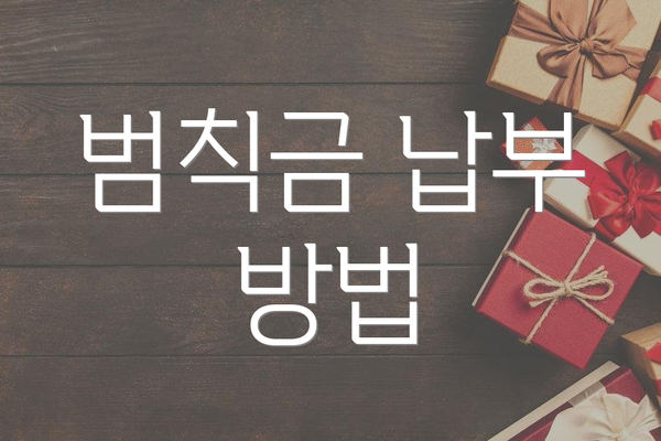 범칙금 납부 방법