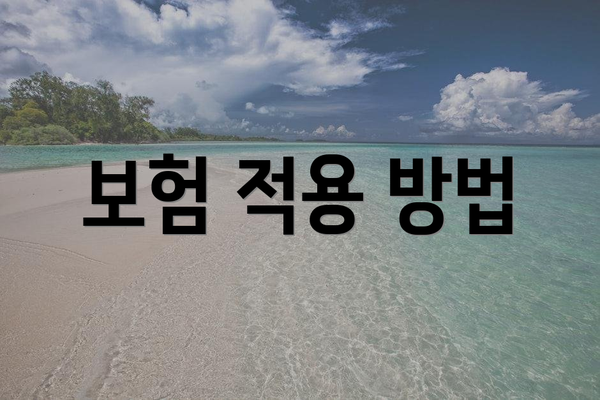 보험 적용 방법