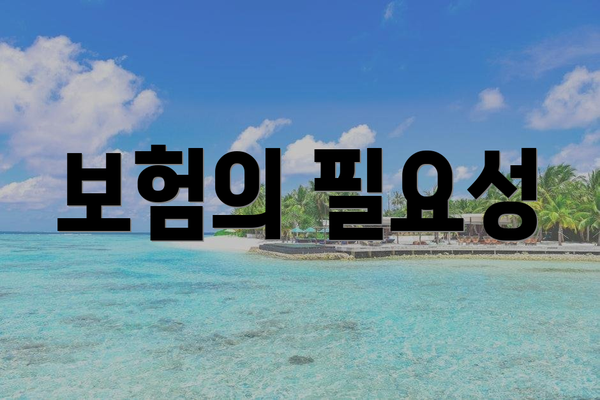 보험의 필요성