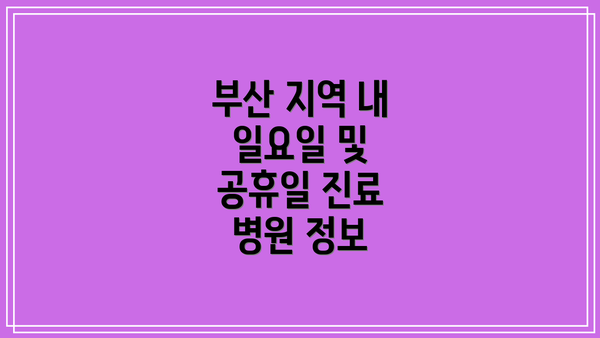 부산 지역 내 일요일 및 공휴일 진료 병원 정보