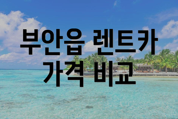 부안읍 렌트카 가격 비교