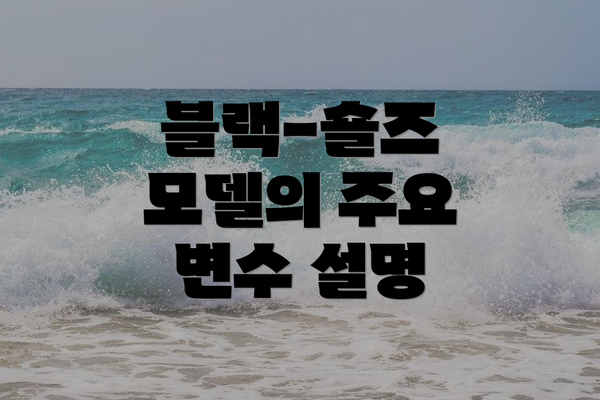 블랙-숄즈 모델의 주요 변수 설명