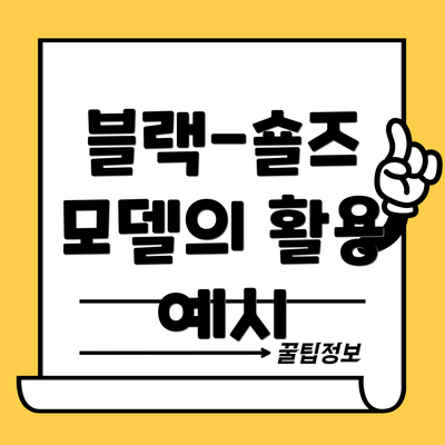 블랙-숄즈 모델의 활용 예시