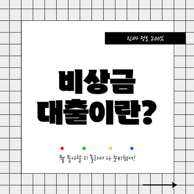 비상금 대출이란?