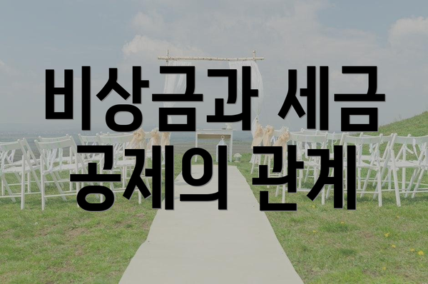비상금과 세금 공제의 관계