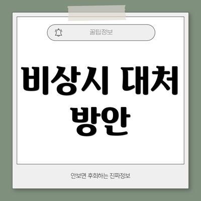 비상시 대처 방안