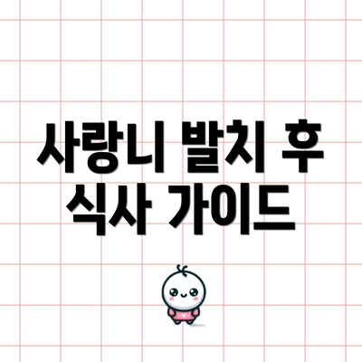 사랑니 발치 후 식사 가이드