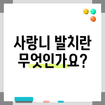 사랑니 발치란 무엇인가요?