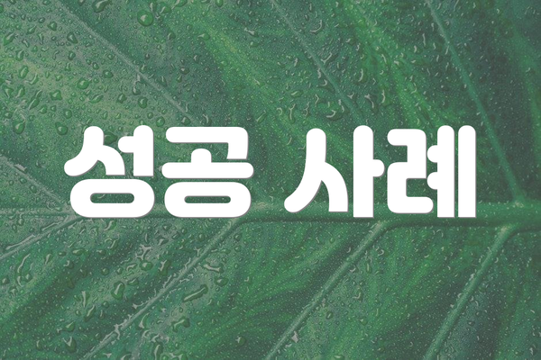 성공 사례