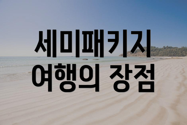 세미패키지 여행의 장점