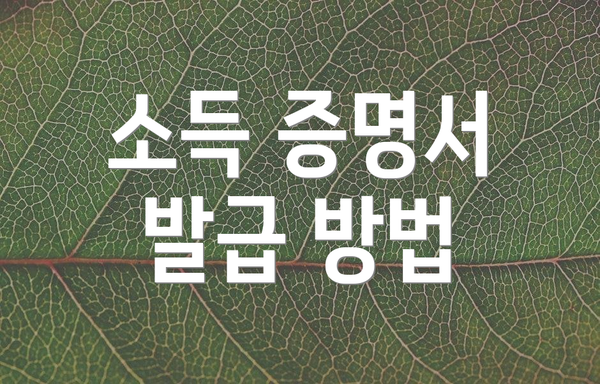 소득 증명서 발급 방법