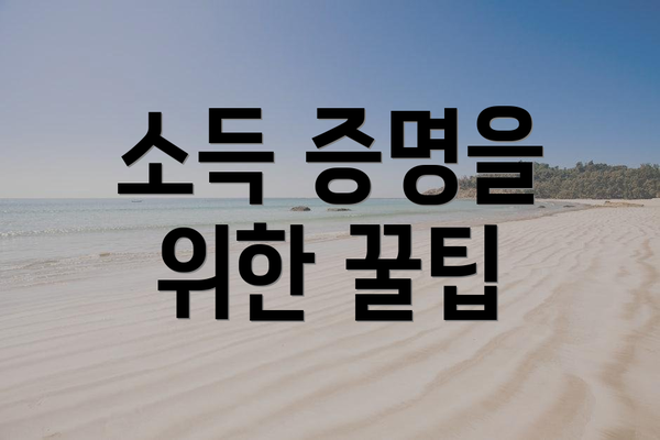 소득 증명을 위한 꿀팁