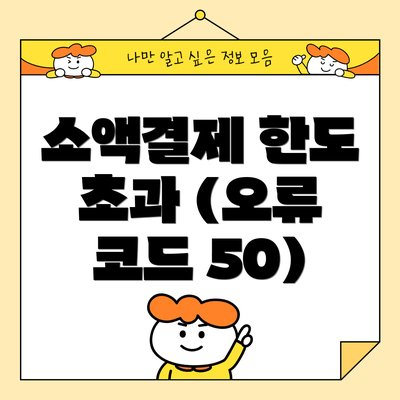 소액결제 한도 초과 (오류 코드 50)