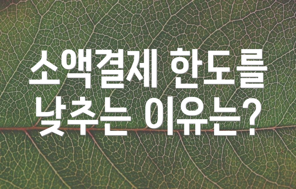 소액결제 한도를 낮추는 이유는?