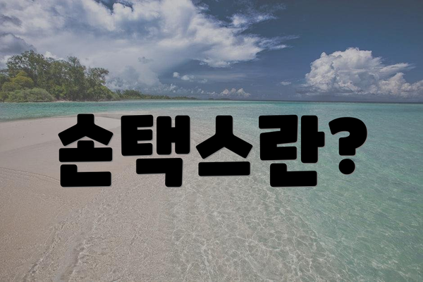 손택스란?