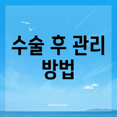 수술 후 관리 방법