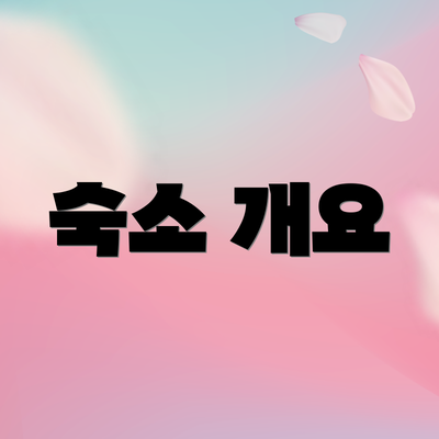 숙소 개요