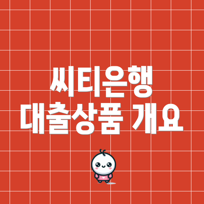 씨티은행 대출상품 개요