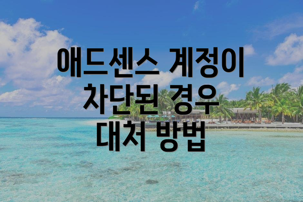 애드센스 계정이 차단된 경우 대처 방법