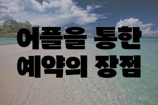 어플을 통한 예약의 장점