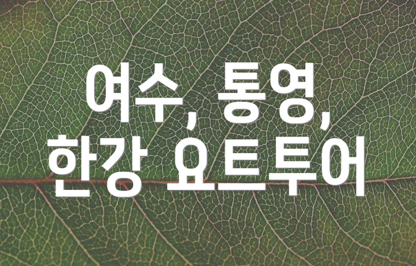 여수, 통영, 한강 요트투어