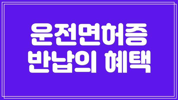 운전면허증 반납의 혜택