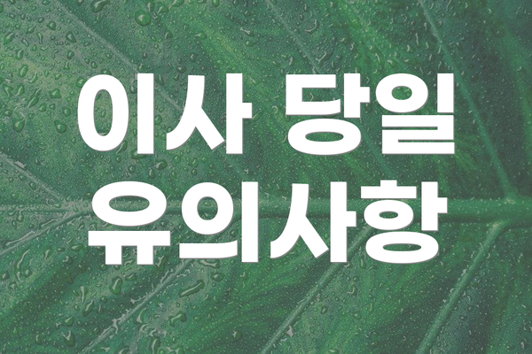 이사 당일 유의사항