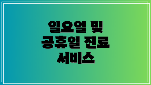 일요일 및 공휴일 진료 서비스