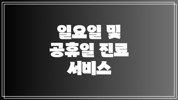 일요일 및 공휴일 진료 서비스
