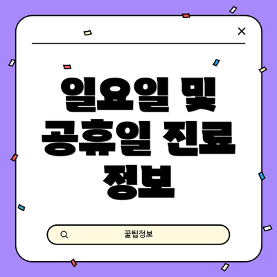 일요일 및 공휴일 진료 정보
